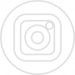 Social-Icons_0000_instagram